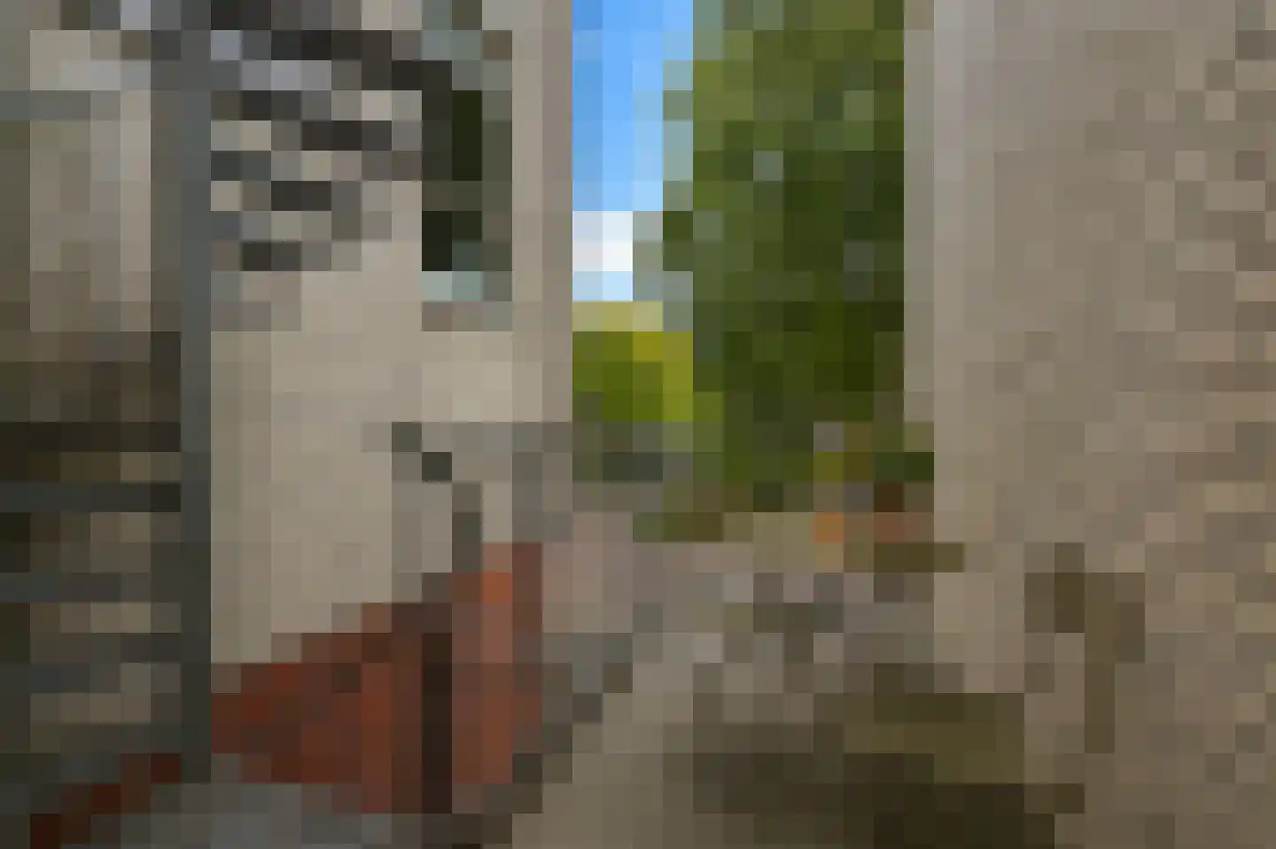 Deutzstraat 22 B Heemskerk thumbnail 11