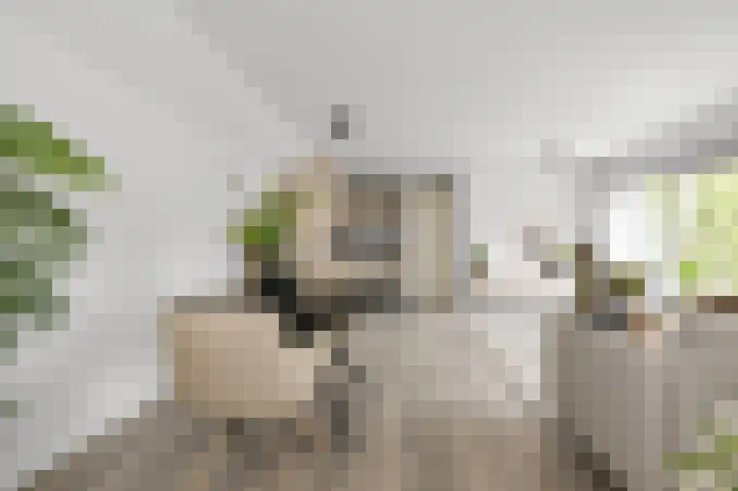 Deutzstraat 22 B Heemskerk thumbnail 7