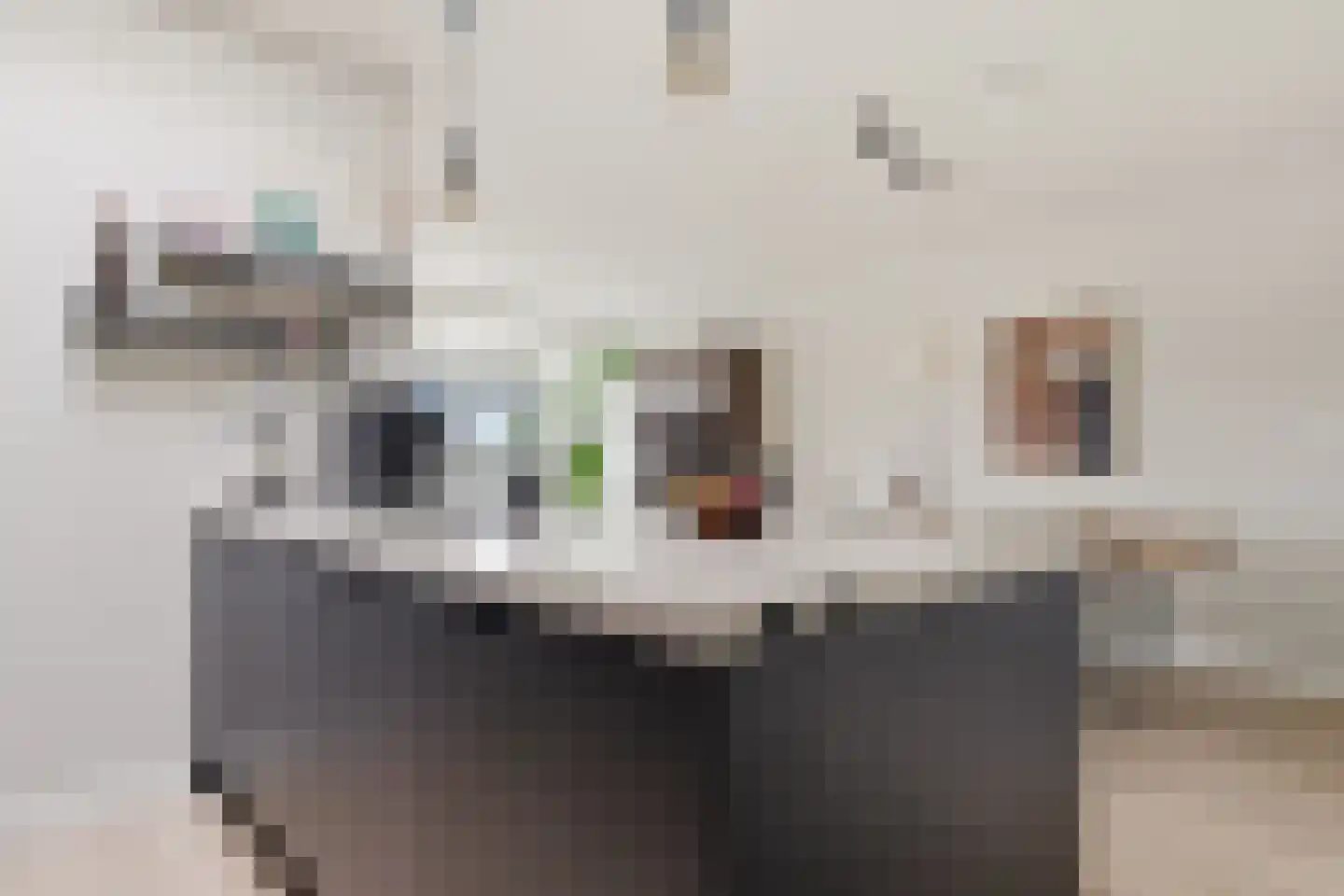 Deutzstraat 5 Heemskerk thumbnail 9