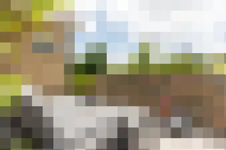 Develsluis 41 Heerjansdam thumbnail 37