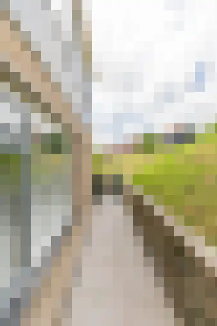 Develsluis 41 Heerjansdam thumbnail 38