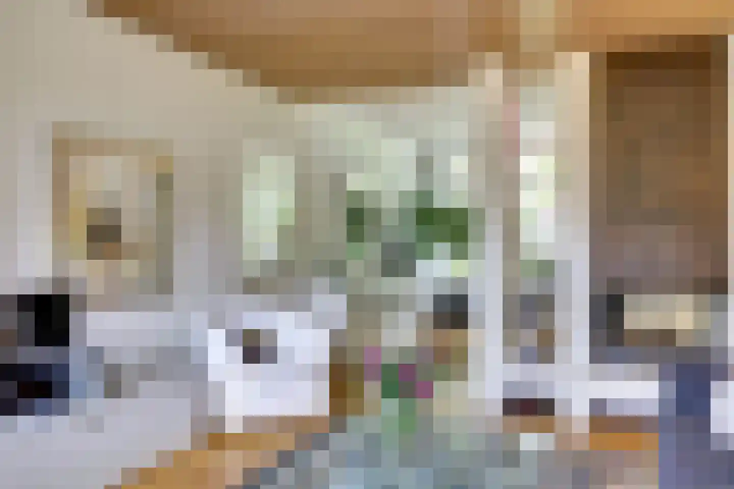 Develweg 46 Zwijndrecht thumbnail 14