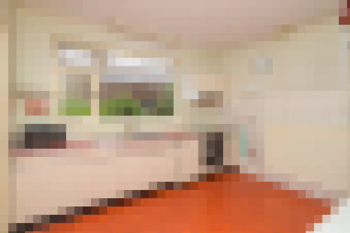 Develweg 9 Heerjansdam thumbnail 11
