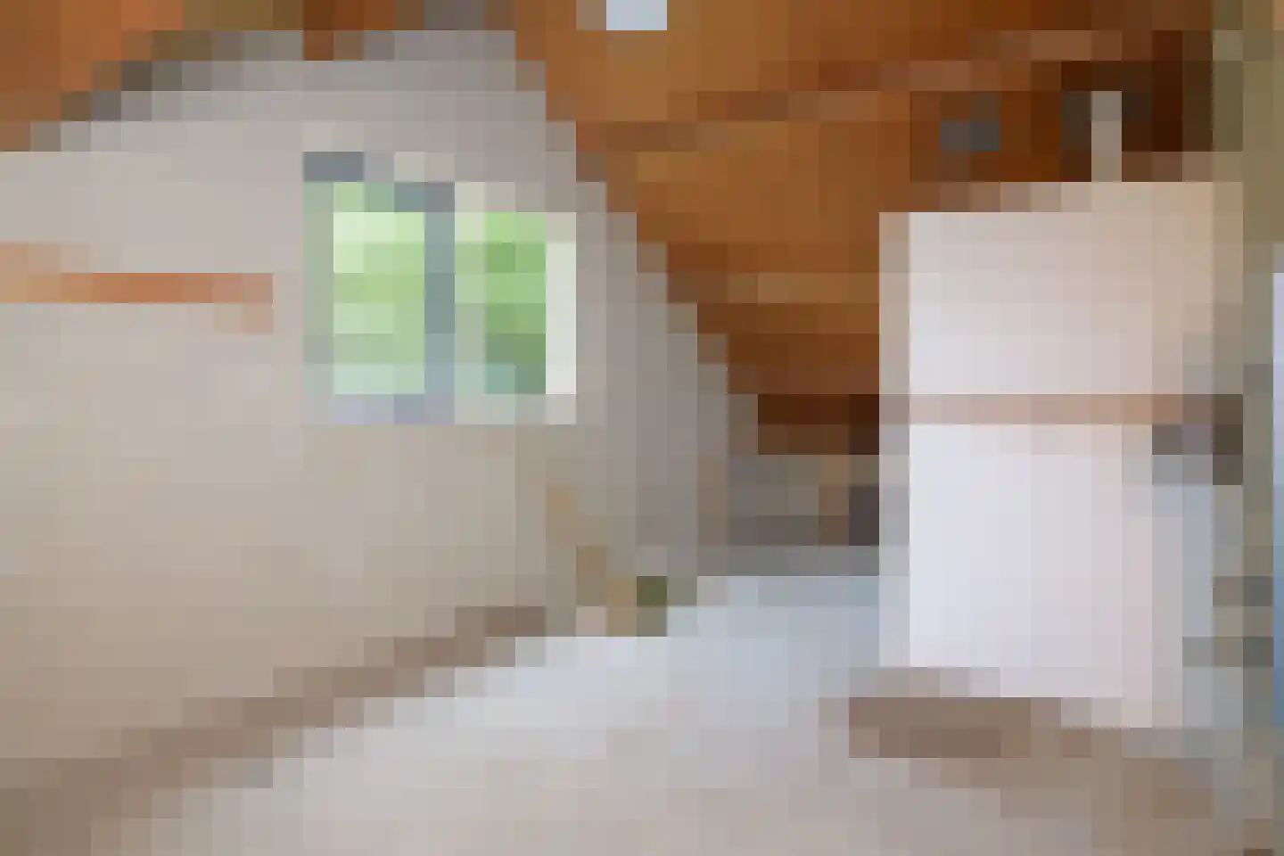 Develweg 9 Heerjansdam thumbnail 21