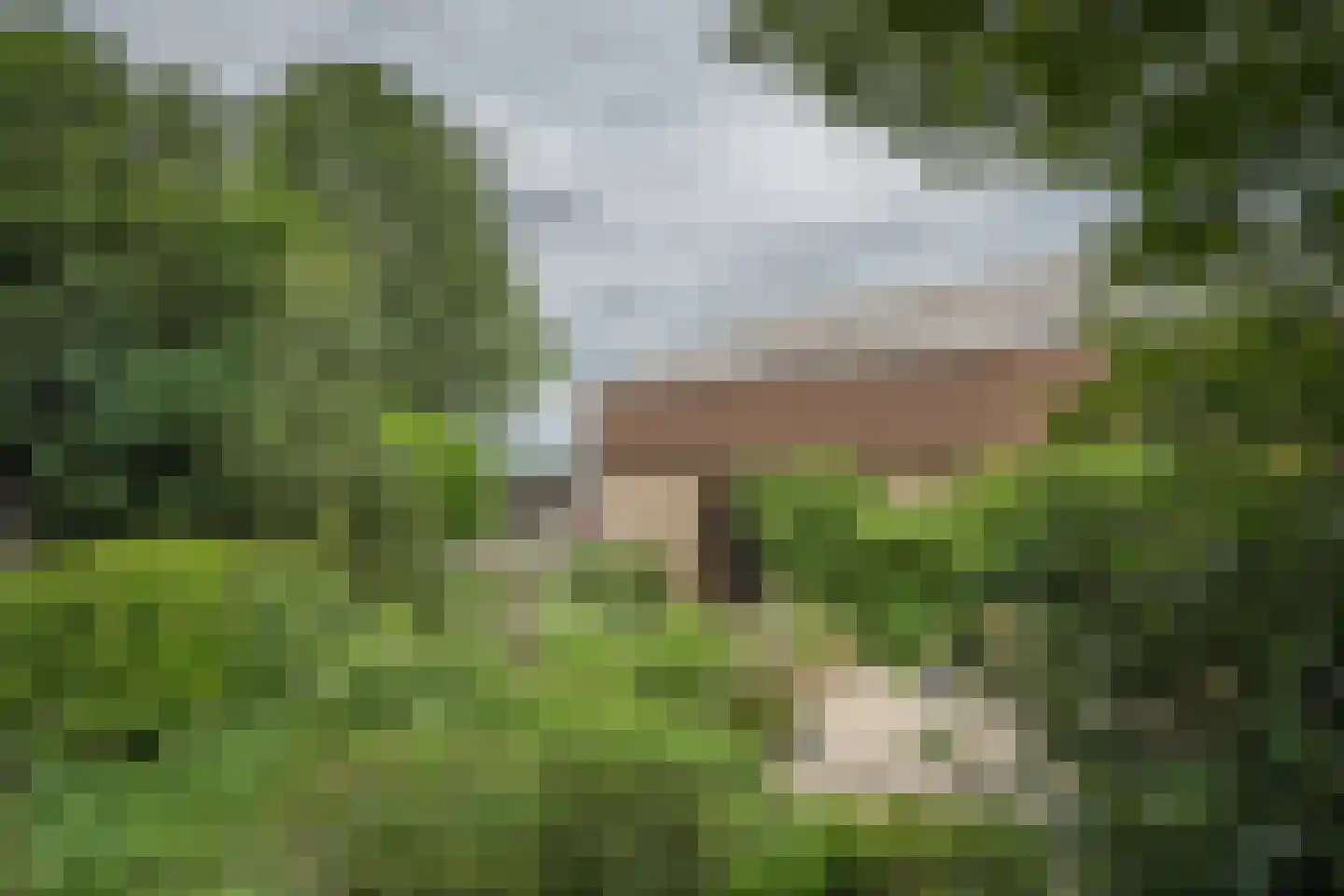 Develweg 9 Heerjansdam thumbnail 25