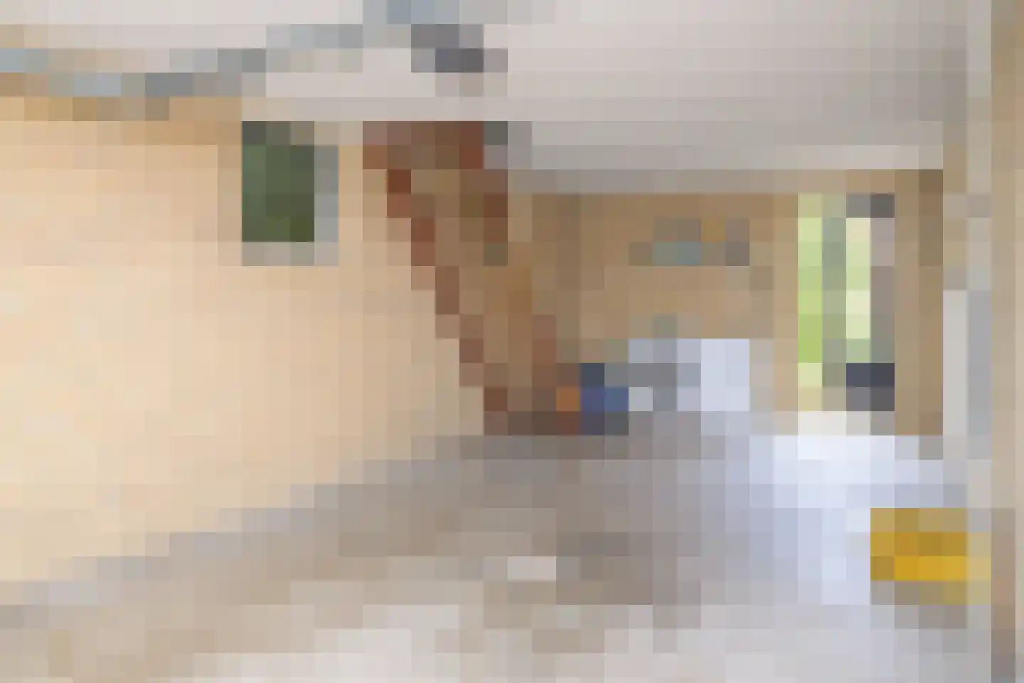 Develweg 9 Heerjansdam thumbnail 31