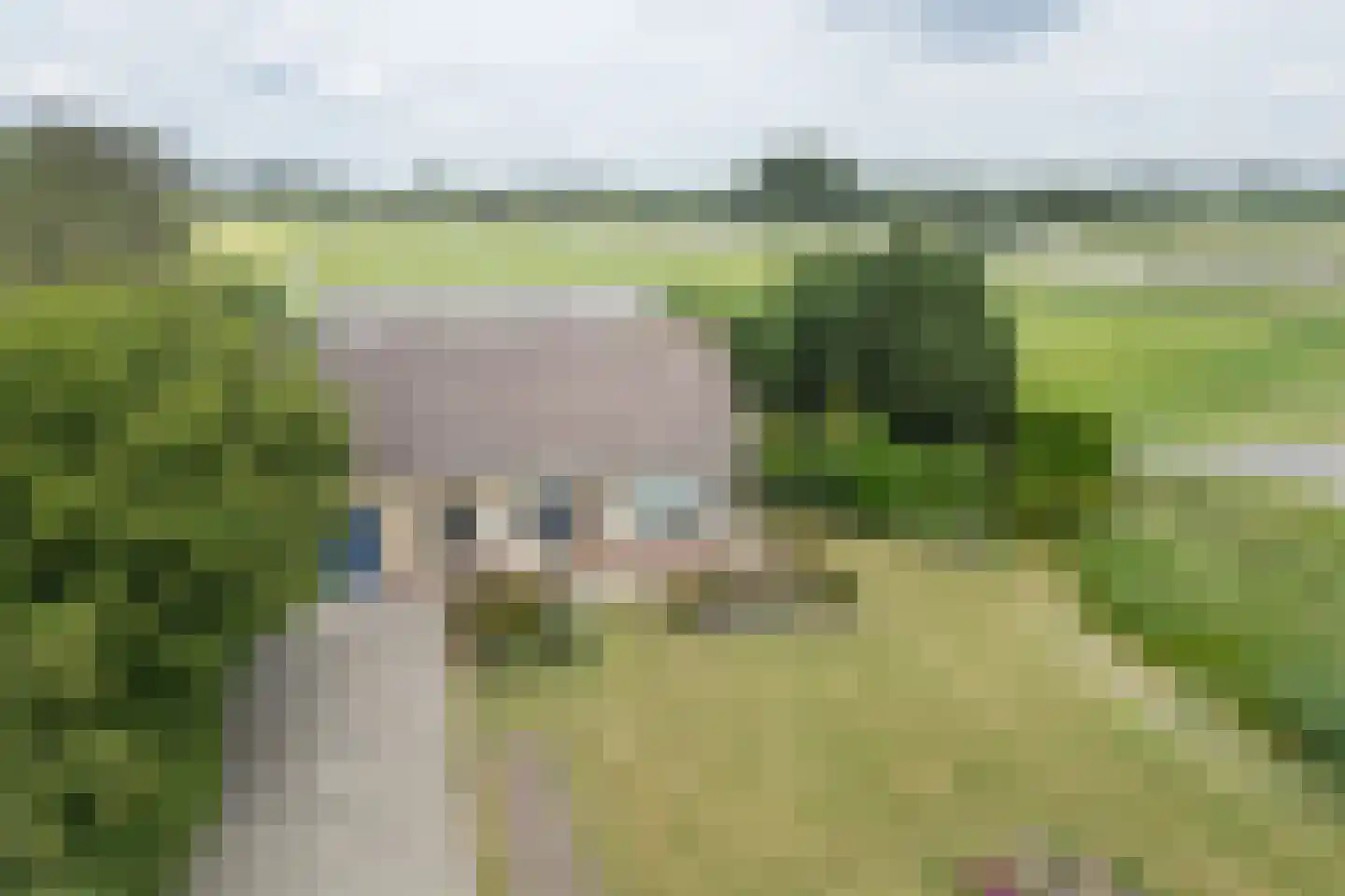 Develweg 9 Heerjansdam thumbnail 33