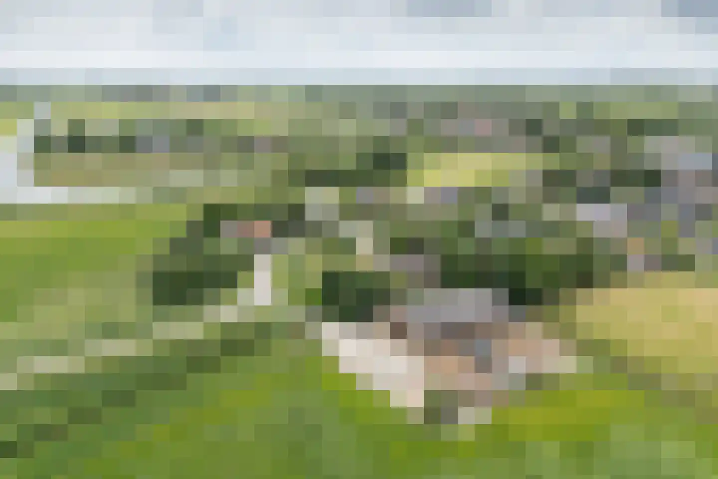 Develweg 9 Heerjansdam thumbnail 35