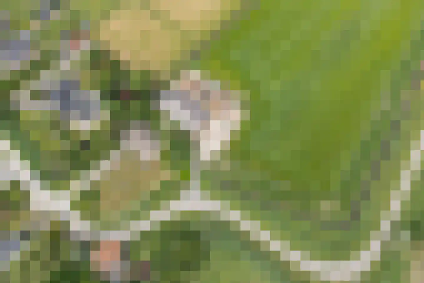 Develweg 9 Heerjansdam thumbnail 36