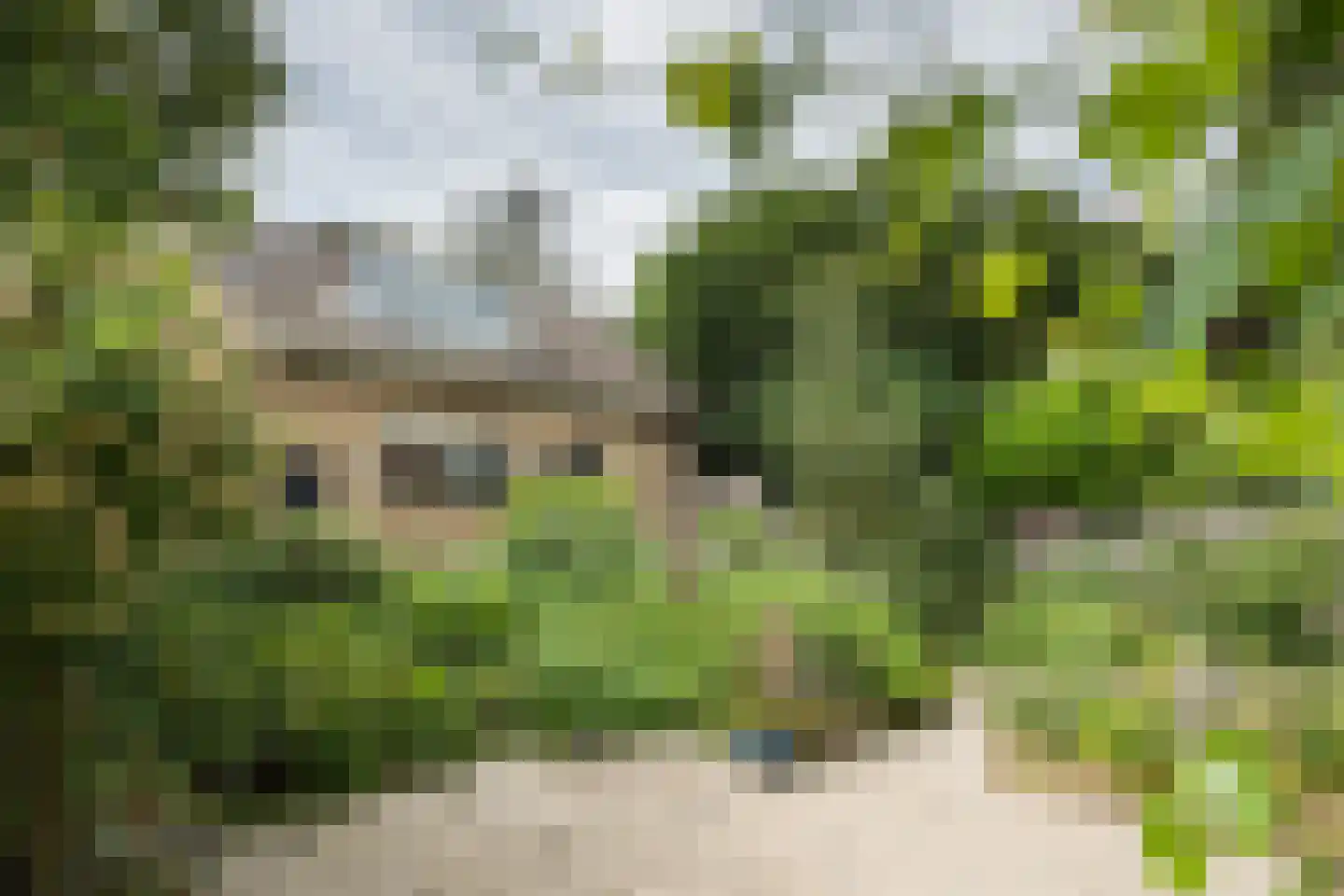 Develweg 9 Heerjansdam thumbnail 5