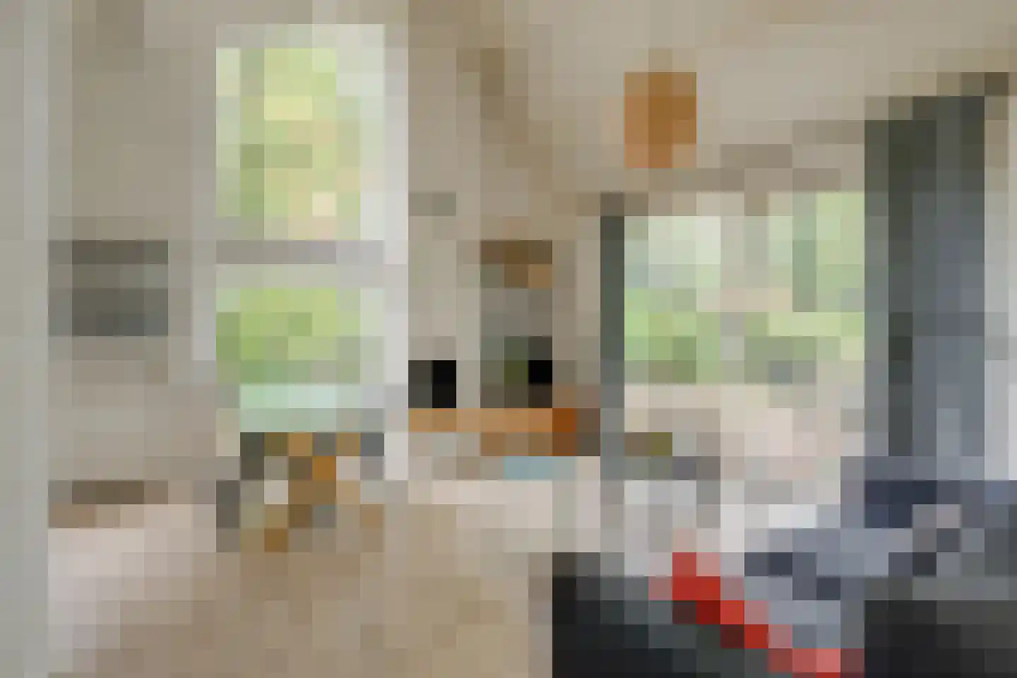 Deventerdijk 10 H102 Harfsen thumbnail 4