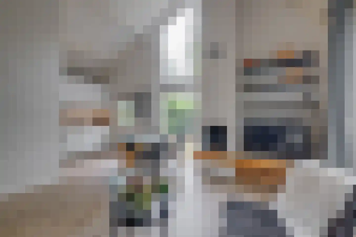 Deventerdijk 10 H102 Harfsen thumbnail 6
