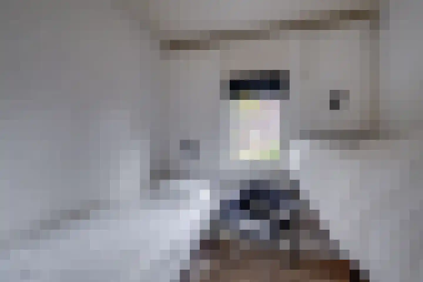 Deventerdijk 10 H102 Harfsen thumbnail 9