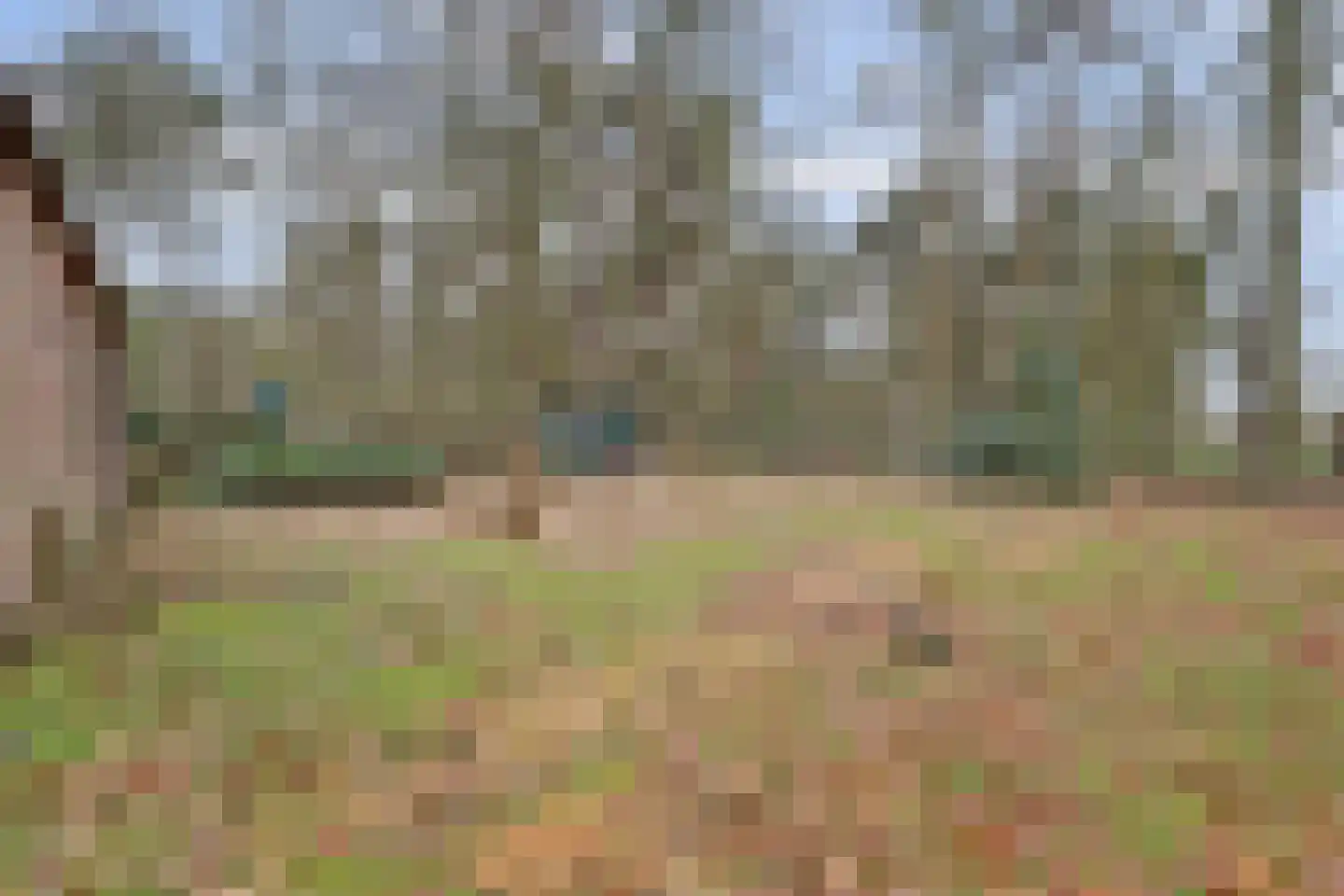 Deventerdijk 10 H122 Harfsen thumbnail 13