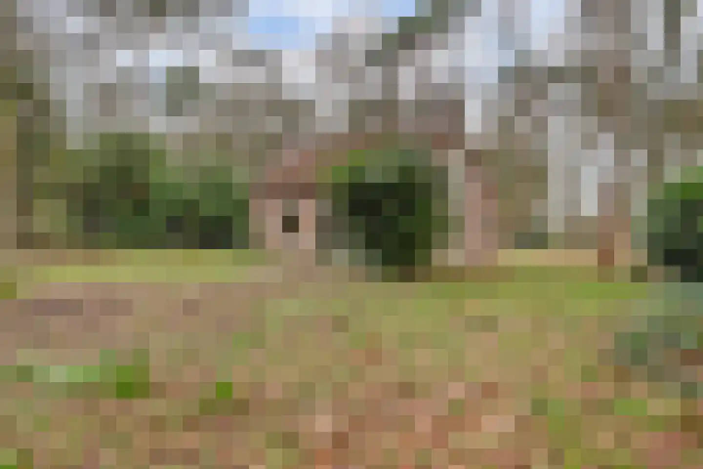 Deventerdijk 10 H122 Harfsen thumbnail 14