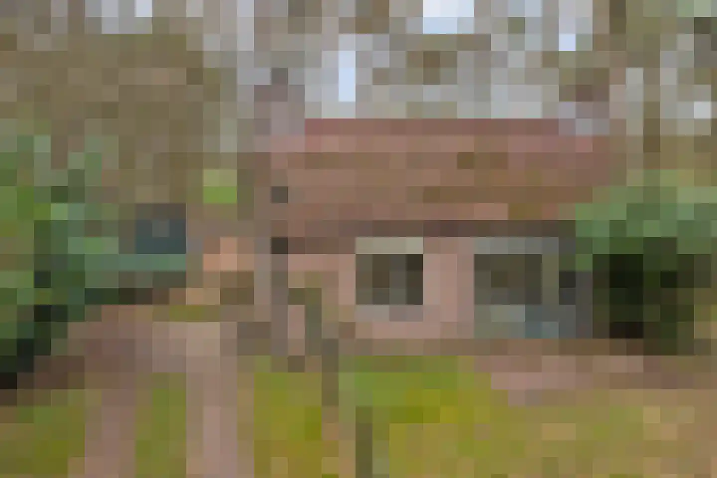 Deventerdijk 10 H122 Harfsen thumbnail 17
