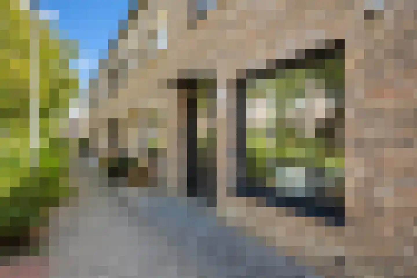 Deventerpad 11 Berkel en Rodenrijs