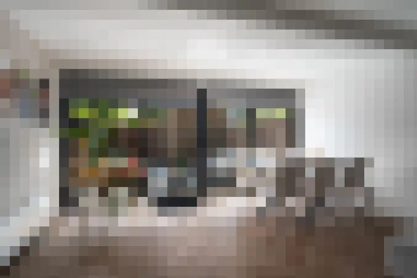 Deventerpad 11 Berkel en Rodenrijs thumbnail 11