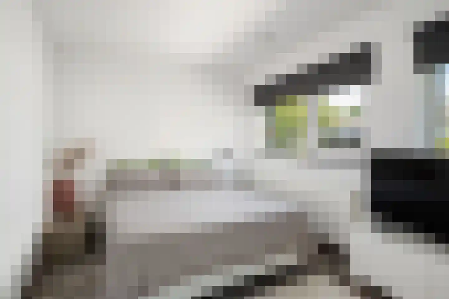 Deventerpad 11 Berkel en Rodenrijs thumbnail 15