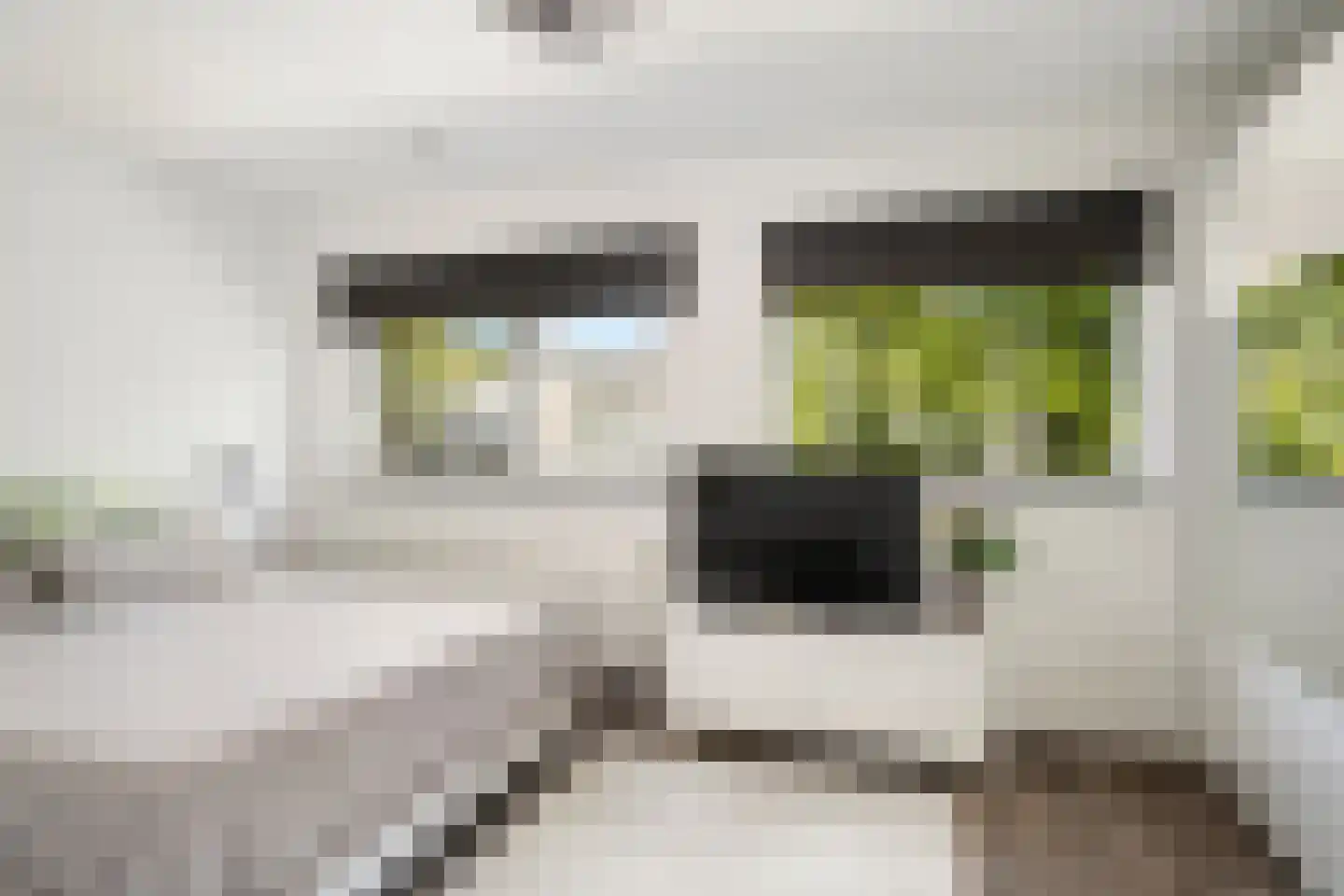 Deventerpad 11 Berkel en Rodenrijs thumbnail 16