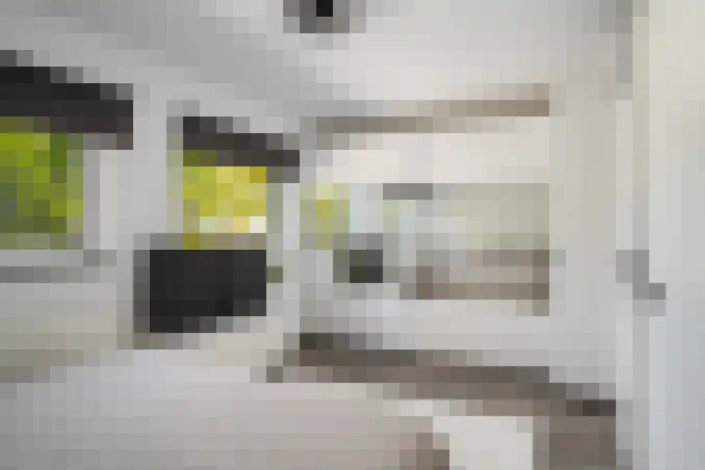 Deventerpad 11 Berkel en Rodenrijs thumbnail 17