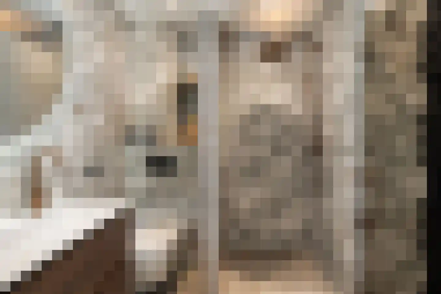 Deventerpad 11 Berkel en Rodenrijs thumbnail 18