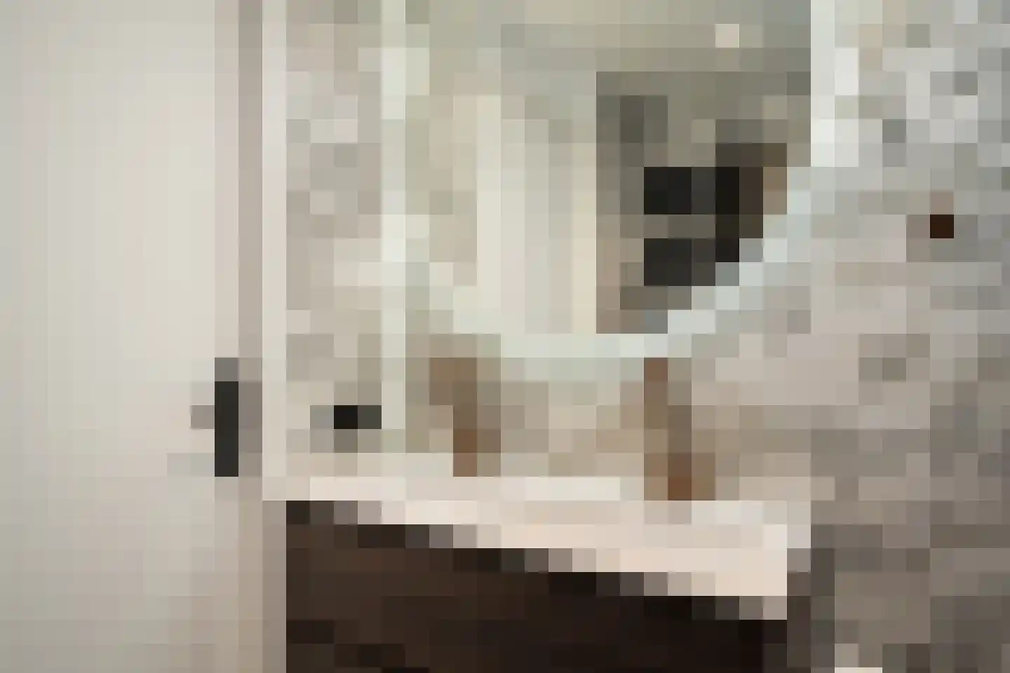 Deventerpad 11 Berkel en Rodenrijs thumbnail 19