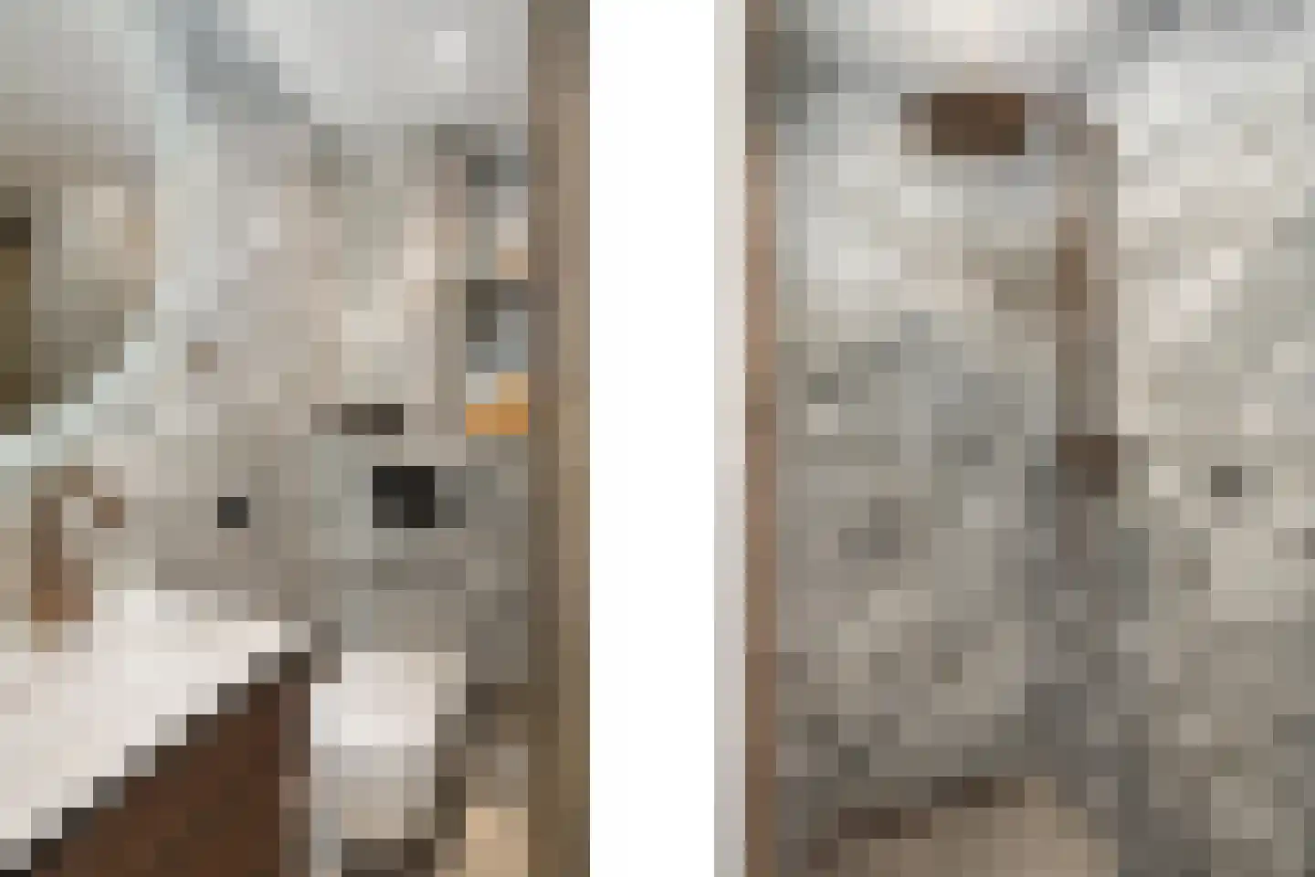Deventerpad 11 Berkel en Rodenrijs thumbnail 20