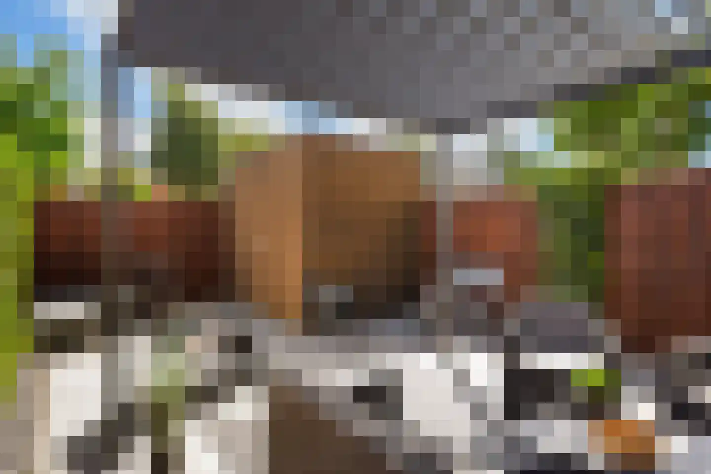Deventerpad 11 Berkel en Rodenrijs thumbnail 24