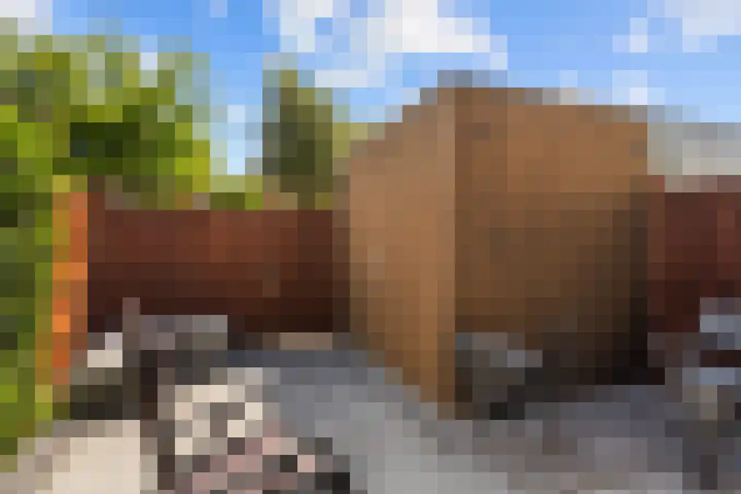 Deventerpad 11 Berkel en Rodenrijs thumbnail 26
