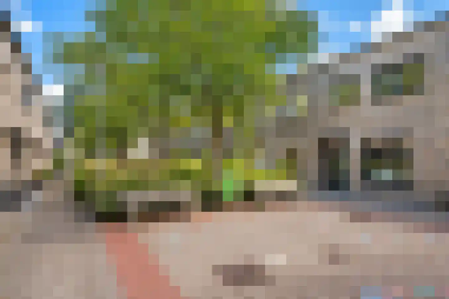 Deventerpad 11 Berkel en Rodenrijs thumbnail 29