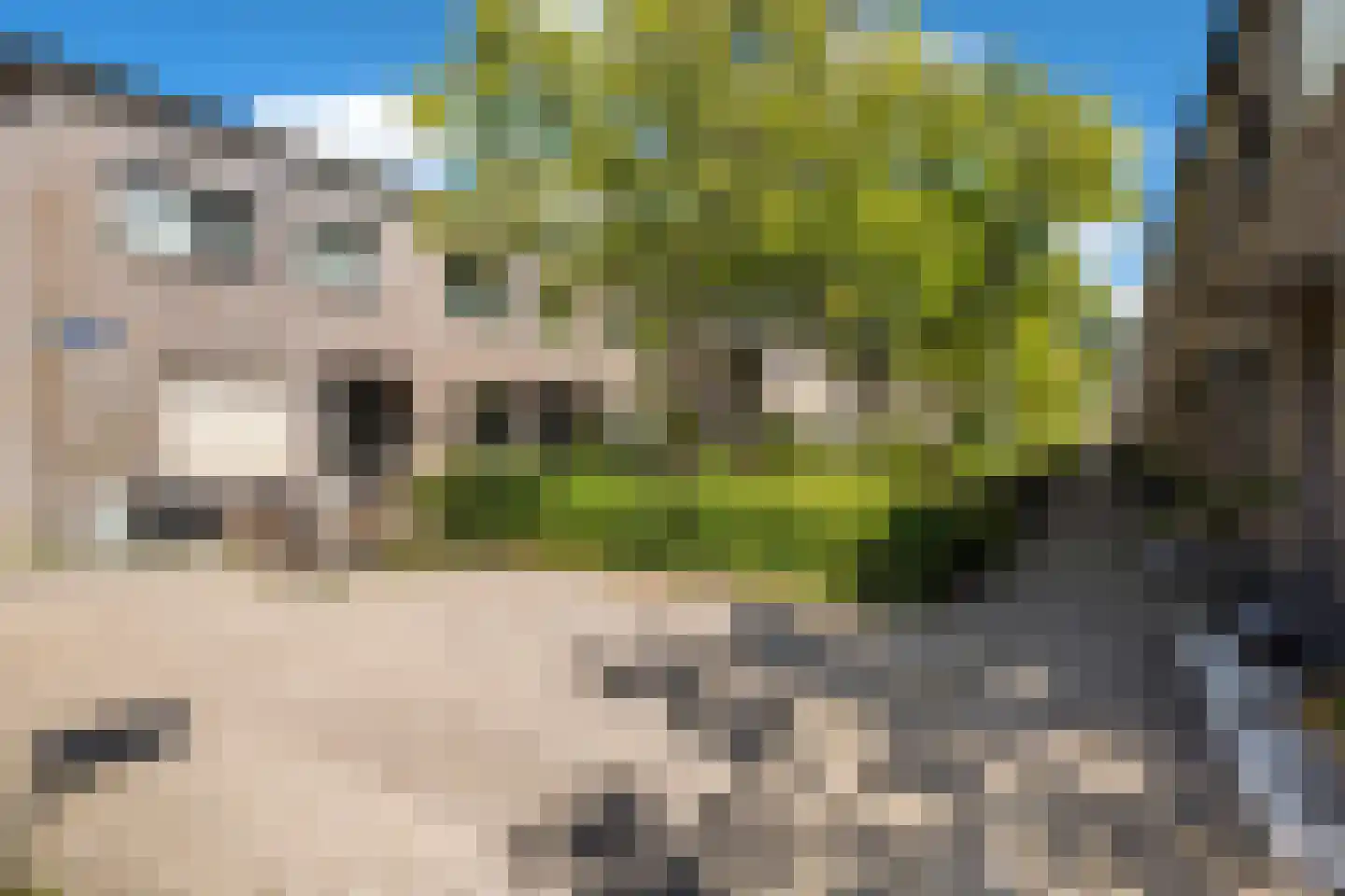 Deventerpad 11 Berkel en Rodenrijs thumbnail 31