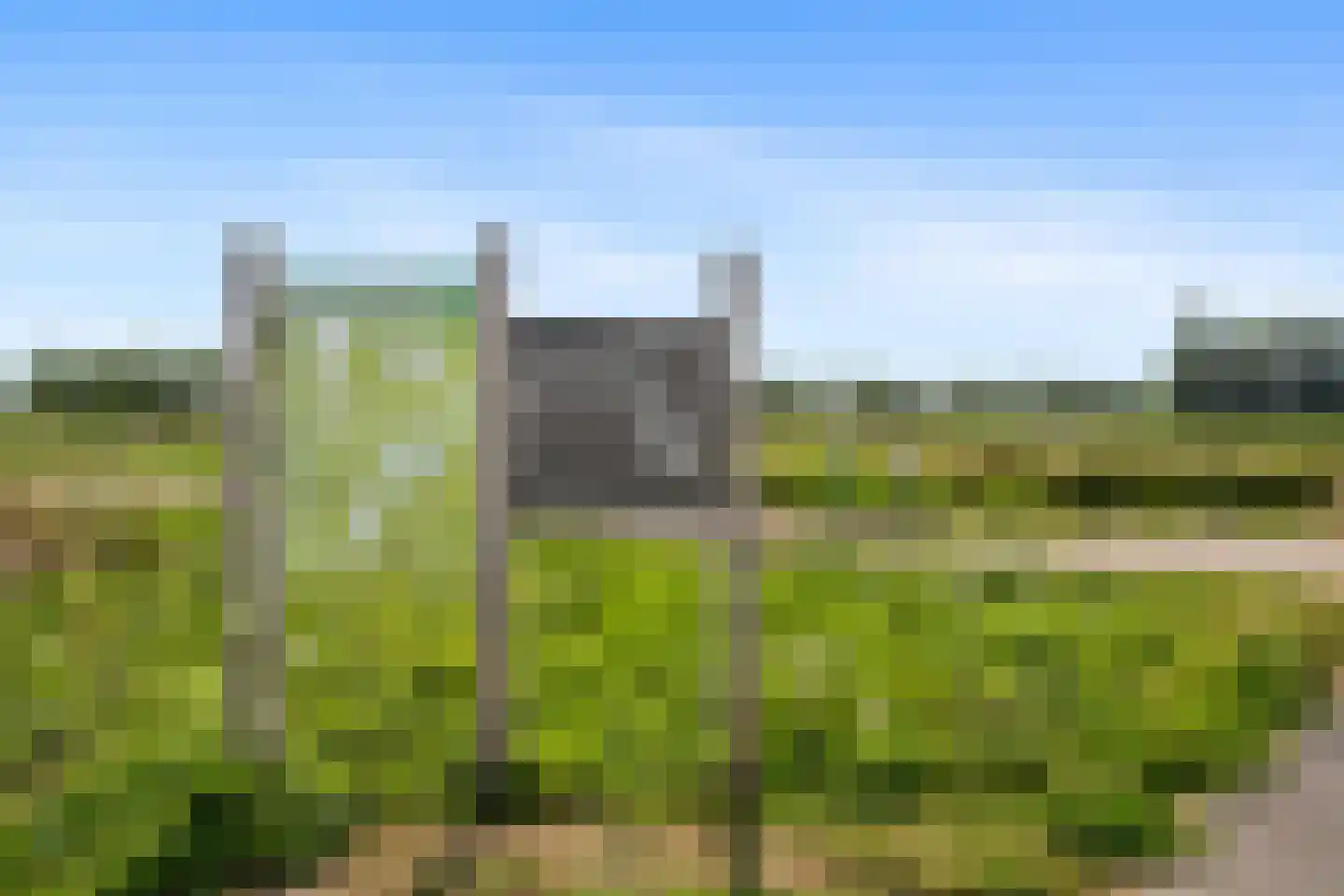 Deventerpad 11 Berkel en Rodenrijs thumbnail 34