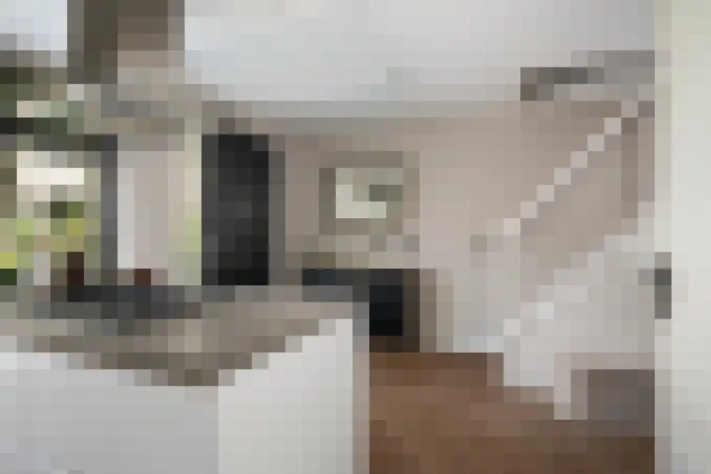 Deventerpad 11 Berkel en Rodenrijs thumbnail 6