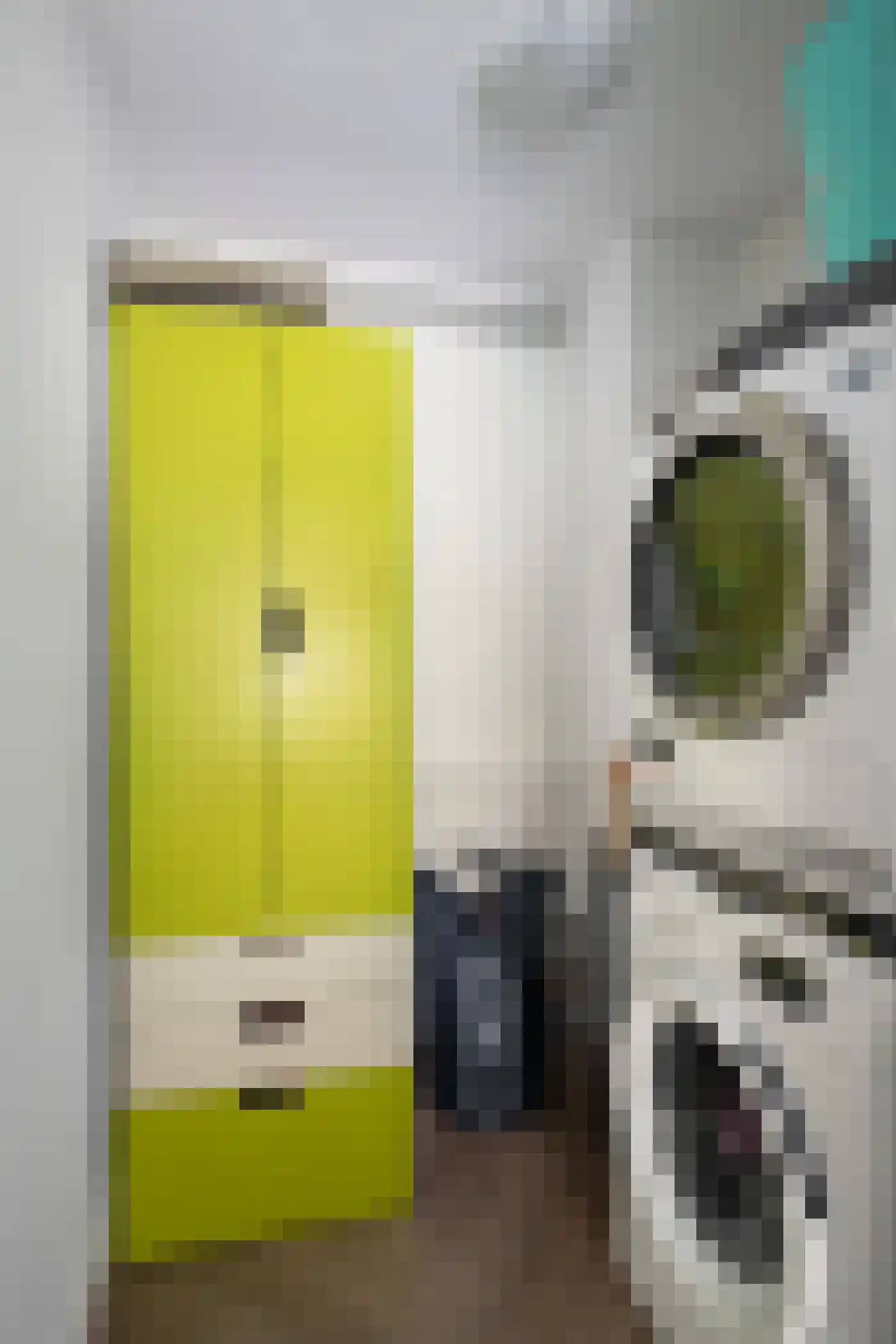 Deventerpad 11 Berkel en Rodenrijs thumbnail 7