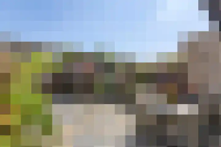 Deventerpad 15 Berkel en Rodenrijs thumbnail 12