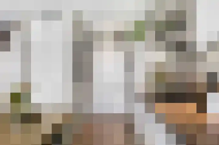 Deventerpad 15 Berkel en Rodenrijs thumbnail 16