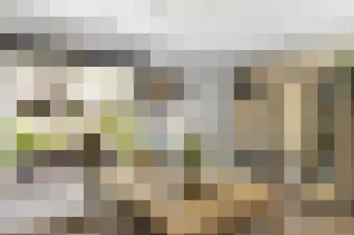 Deventerpad 15 Berkel en Rodenrijs thumbnail 17