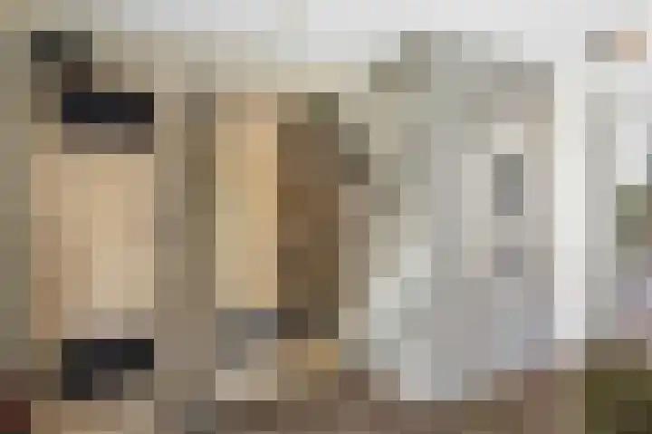 Deventerpad 15 Berkel en Rodenrijs thumbnail 18