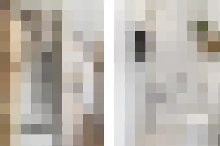 Deventerpad 15 Berkel en Rodenrijs thumbnail 19