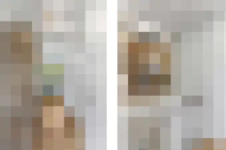 Deventerpad 15 Berkel en Rodenrijs thumbnail 20