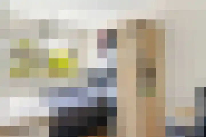 Deventerpad 15 Berkel en Rodenrijs thumbnail 25