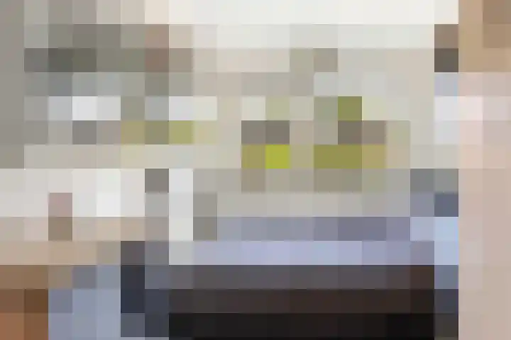 Deventerpad 15 Berkel en Rodenrijs thumbnail 26