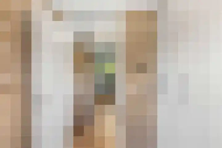 Deventerpad 15 Berkel en Rodenrijs thumbnail 28