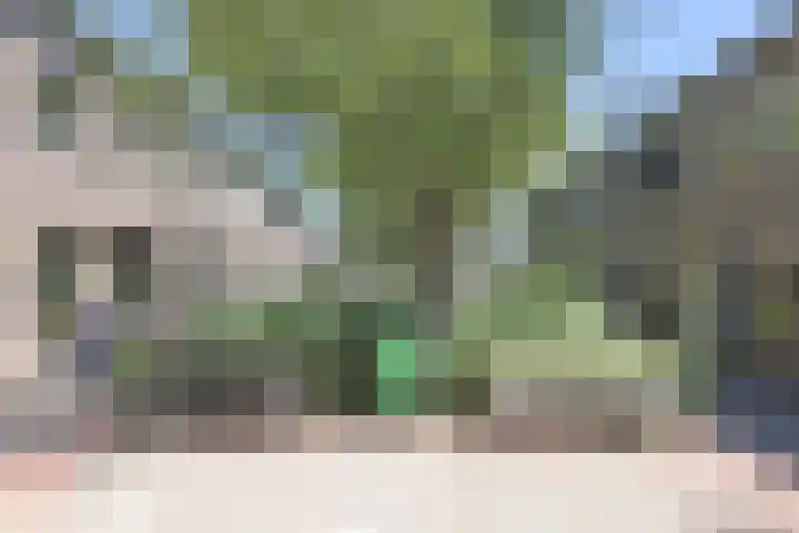 Deventerpad 15 Berkel en Rodenrijs thumbnail 29