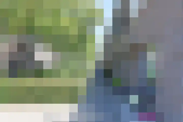 Deventerpad 15 Berkel en Rodenrijs thumbnail 31