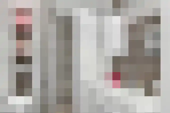 Deventerpad 15 Berkel en Rodenrijs thumbnail 4