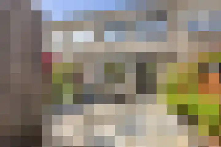 Deventerpad 15 Berkel en Rodenrijs thumbnail 5