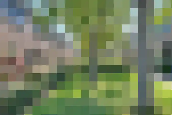 Deventerpad 15 Berkel en Rodenrijs thumbnail 6