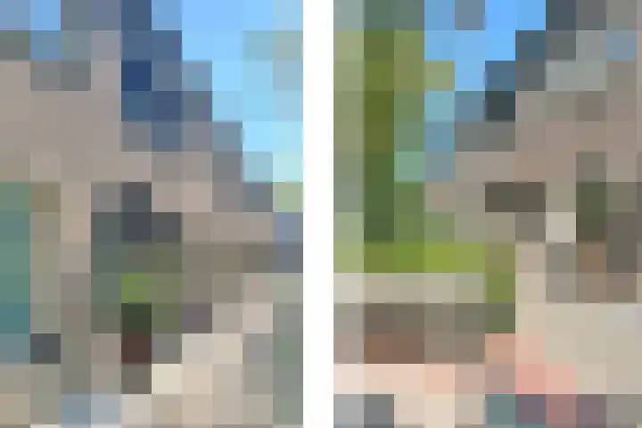 Deventerpad 15 Berkel en Rodenrijs thumbnail 7